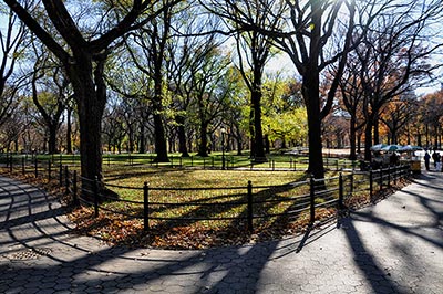 Central Park en novembre