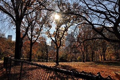 Central Park l'automne