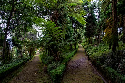 Jardin Botanique Madère