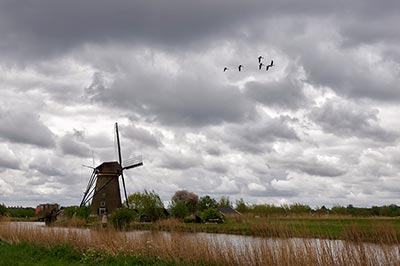 Les Moulins de Kinderdijk - Hollande