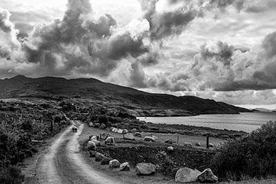 chemin irlandais