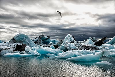 Lagion de Jokulsarlon - Islande